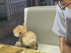 -小时光咖啡馆(开森度假森林店)