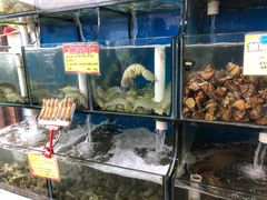 -蚝专家(北滘店)
