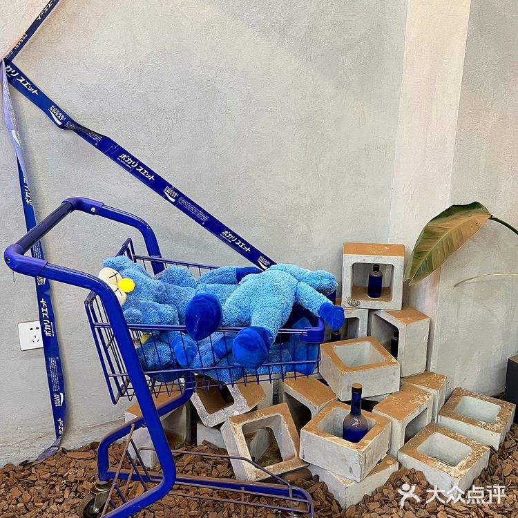 南昌699文创园下午茶|克莱因蓝➕热带雨林🏝