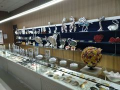 -青岛贝壳博物馆