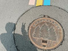 -日照海滨国家森林公园