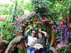 -西双版纳勐泐文化旅游区