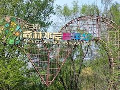 -长白岛森林公园