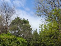 -国家植物园南园