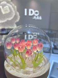 -I Do(镇江苏宁广场店)
