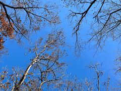 -玉渡山自然风景区