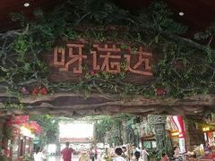 -呀诺达热带雨林