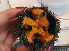 活海胆-雍和会海鲜姿造自助(湖东路店)