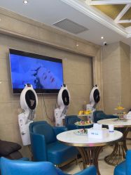 -碧莲盛·不剃发植发