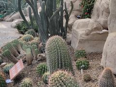 -北京植物园-展览温室