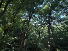 -青州仰天山