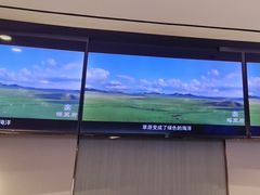 -蝎王府羊蝎子(西直门店)