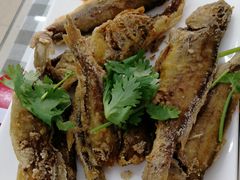 -烁佳海鲜大馅饺子