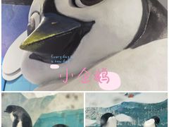 -海合安天津极地海洋公园