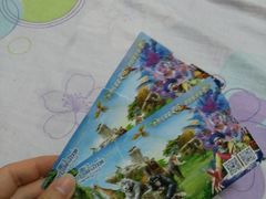 -灵玲国际马戏城