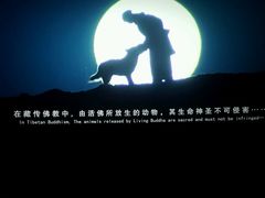 -幸福蓝海国际影城(杜比巨幕店)