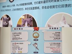 -lincat·猫舍(广州店)