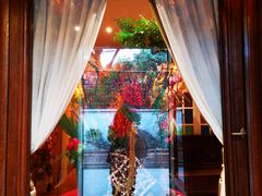 -叶叶菩提·晋福宫