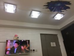-恐龙·美甲美睫