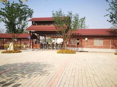 -绵阳盛世樱花悠乐谷