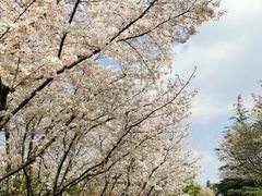 -白塘生态植物园