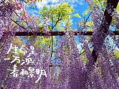 -汇龙潭