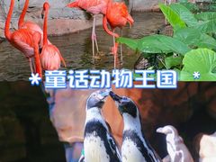 -长鹿旅游休博园