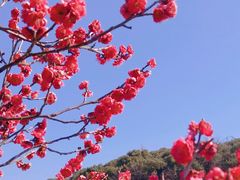 -无锡梅园公园