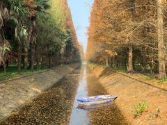 -东平国家森林公园