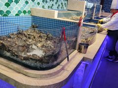 水产区-乔哥铭洋海鲜自助(皇城恒隆广场店)