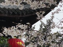 -龙华寺