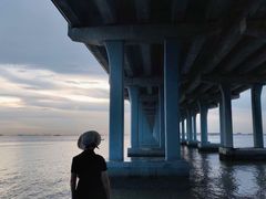 -宝安西湾红树林湿地公园