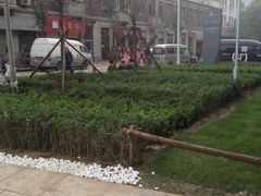 iphone_upload_pic-沪上阿姨鲜果茶(华新大街店)