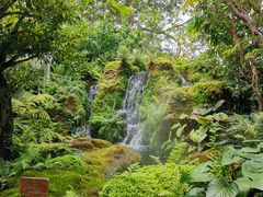 -Chom Cafe and Restaurant