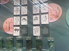 -中国湿地博物馆