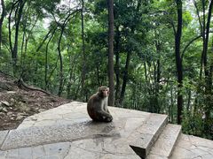 -黔灵山公园