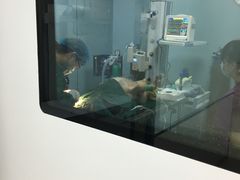 -美联众合宠物医院·爱萌分院·内外科·猫科中心