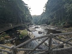 -梁野山景区