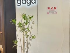 -gaga(深圳南山益田假日广场店)