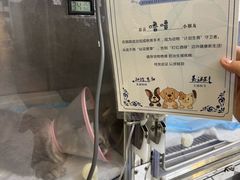 -达爱动物医院·犬猫分区·CT·复杂眼科(远洋山水分院)