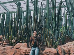 -南通洲际绿博园