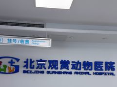-北京观赏动物医院·24小时大型综合·猫专科·异宠专科