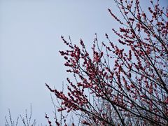 -南湖湿地公园