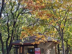 -国家植物园南园