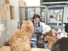 -藏猫猫咖啡主题馆(中央大道店)