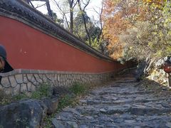 -阳台山自然风景区