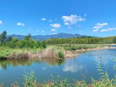 -野鸭湖国家湿地公园