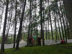 -硗碛藏寨·神木垒景区