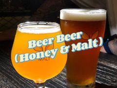 -蜜和麦精酿啤酒吧honey&malt(桐梓林店)
