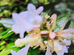 -西湖文化广场